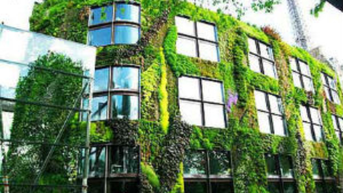 vertical garden