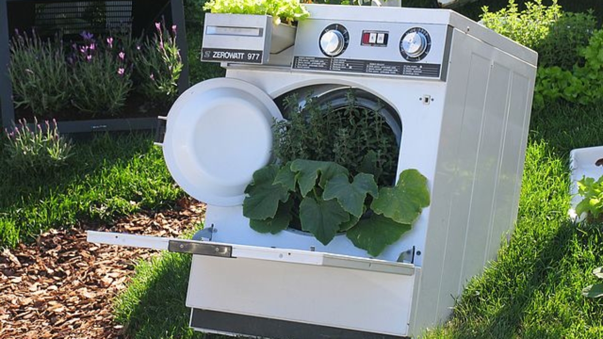 appliance-washing-machine-garden