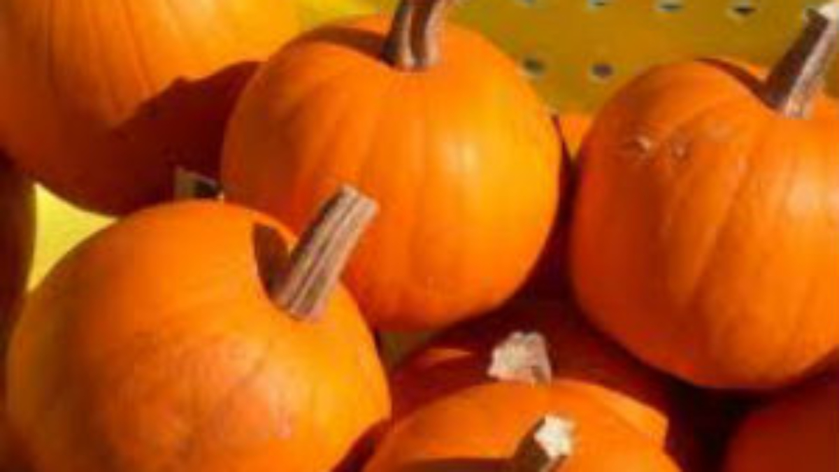 pumpkins