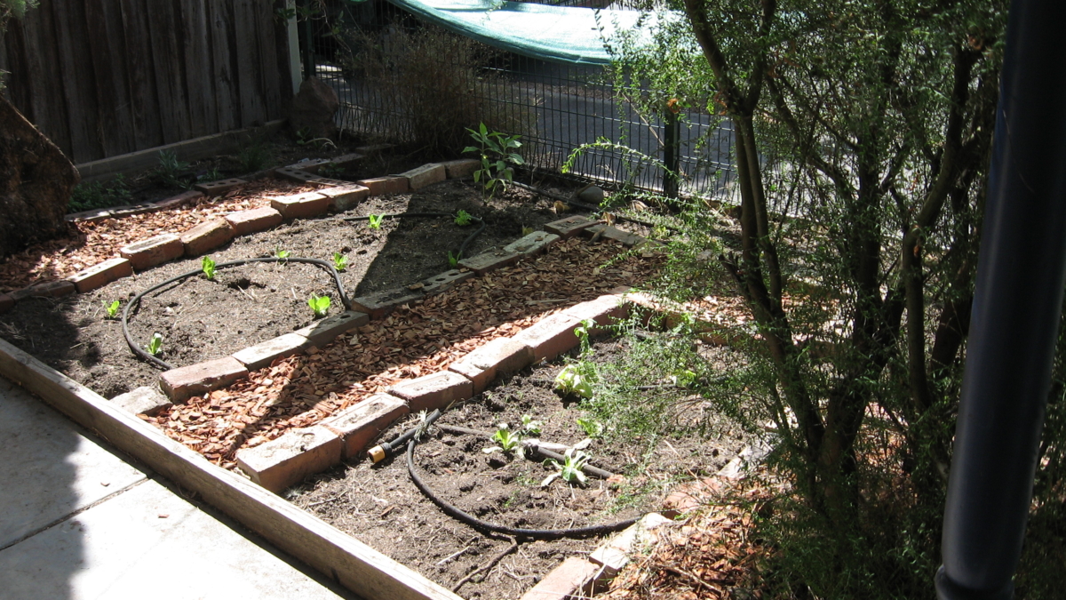 garden beds