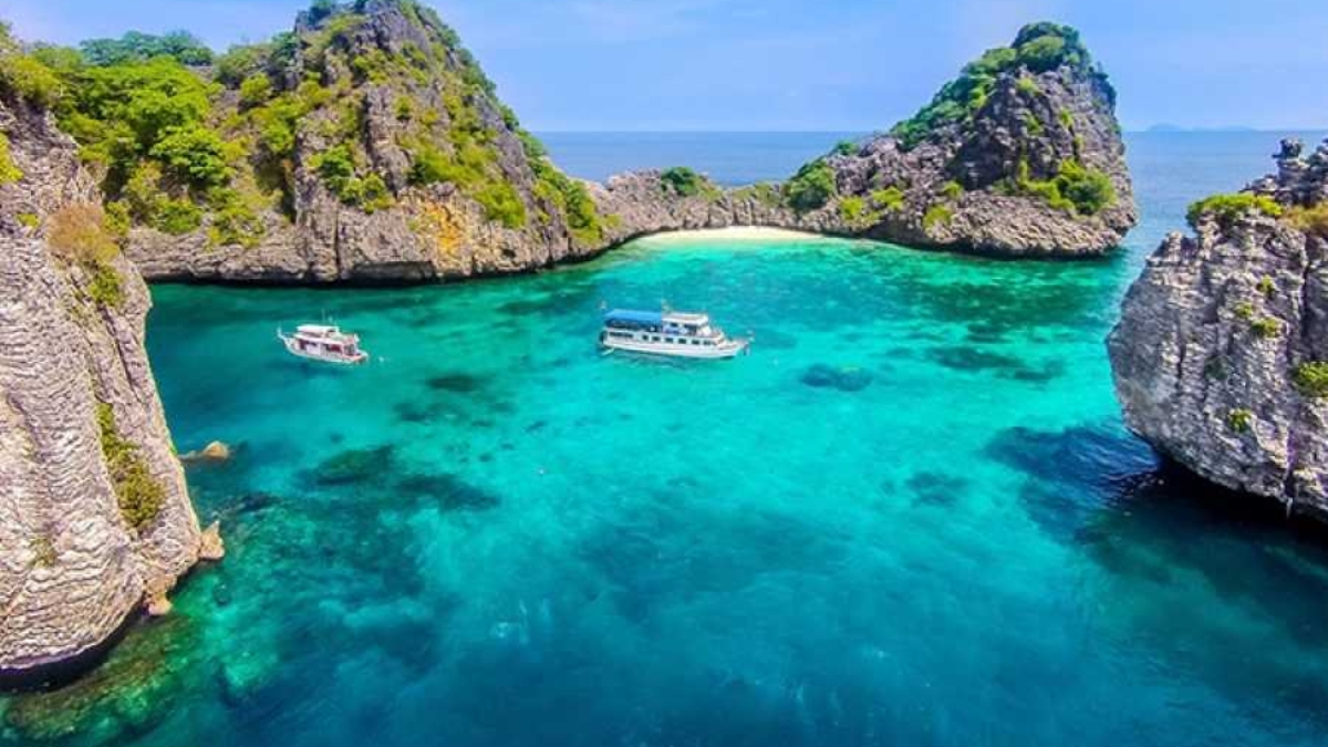 900x600-1-50-21a02e97c9d3a230c4bac53f3511253d